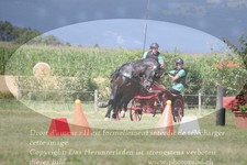 ref. photo 3278612
