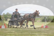 ref. photo 3278650