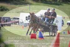 ref. photo 3278691