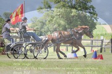 ref. photo 3278703