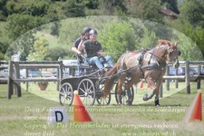ref. photo 3278706