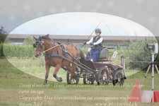 ref. photo 3278736