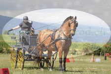 ref. photo 3278817