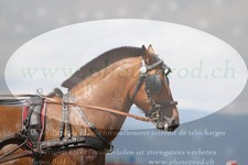 ref. photo 3278820
