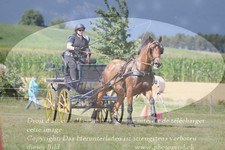 ref. photo 3278821
