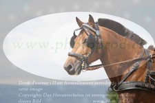 ref. photo 3278837