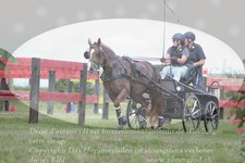 ref. photo 3278891