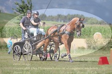 ref. photo 3278904