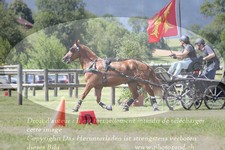 ref. photo 3278909
