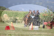 ref. photo 3278911