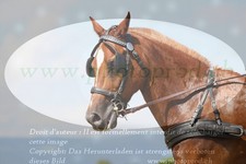 ref. photo 3278917