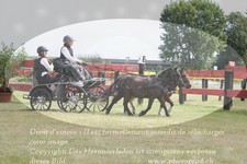 ref. photo 3278918