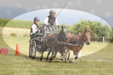 ref. photo 3278926