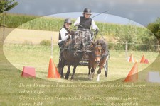 ref. photo 3278935