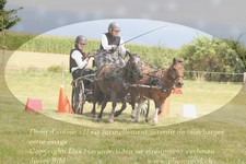 ref. photo 3278936