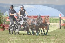 ref. photo 3278951