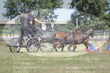 ref. photo 3278963