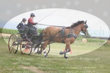 ref. photo 3278976