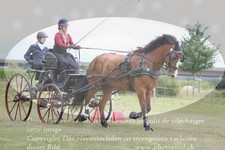ref. photo 3278986