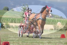 ref. photo 3279001