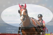 ref. photo 3279010
