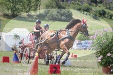 ref. photo 3279013