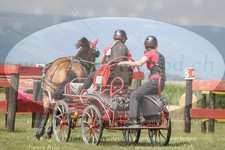 ref. photo 3279018
