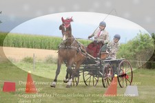 ref. photo 3279028