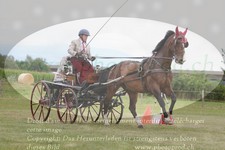 ref. photo 3279040