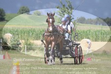 ref. photo 3279048