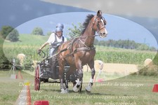 ref. photo 3279049