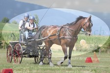 ref. photo 3279050