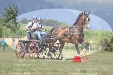 ref. photo 3279052
