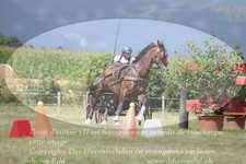 ref. photo 3279060
