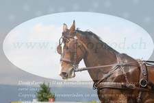 ref. photo 3279065