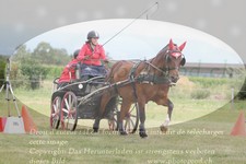 ref. photo 3279081