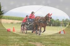 ref. photo 3279085
