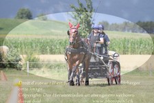 ref. photo 3279094