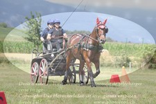ref. photo 3279095