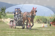 ref. photo 3279096