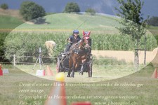 ref. photo 3279099