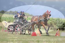 ref. photo 3279101
