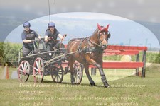 ref. photo 3279102