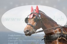ref. photo 3279103