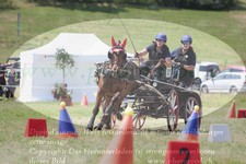 ref. photo 3279104