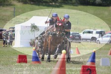 ref. photo 3279105