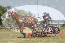 ref. photo 3279114