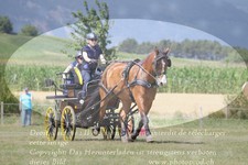 ref. photo 3279148