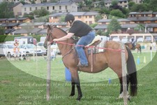ref. photo 3279169