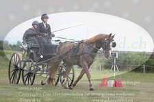 ref. photo 3279181
